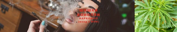 бошки Абинск