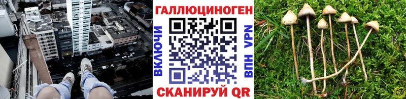 Галлюциногенные грибы мухоморы  Судогда 