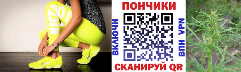 Бошки Шишки Amnesia  Судогда 